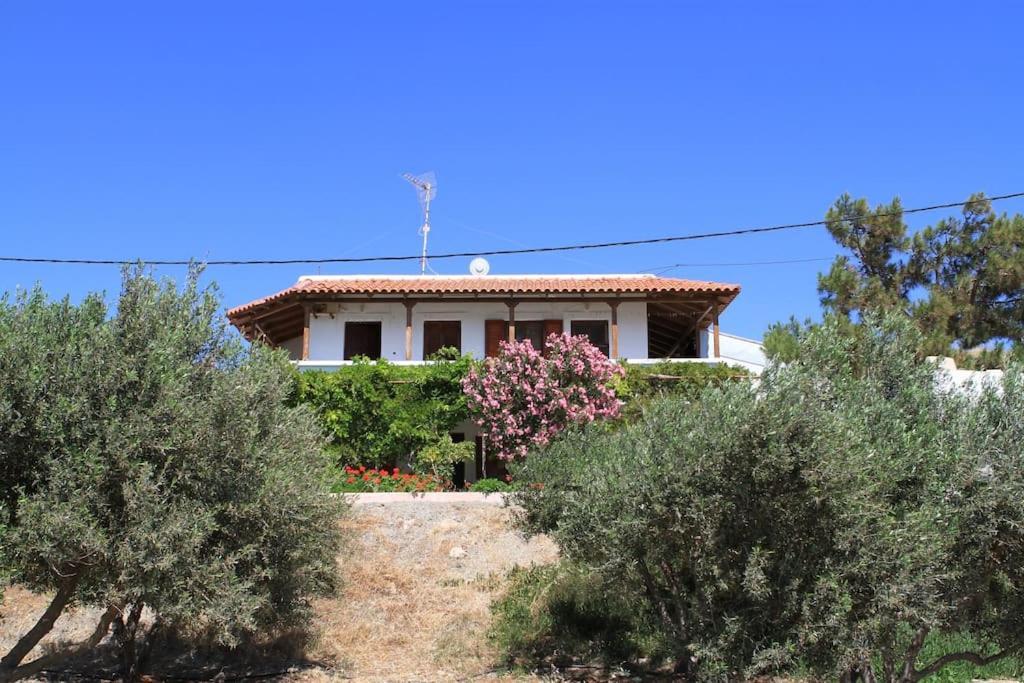Traditional Olive House Makrýgialos Dış mekan fotoğraf