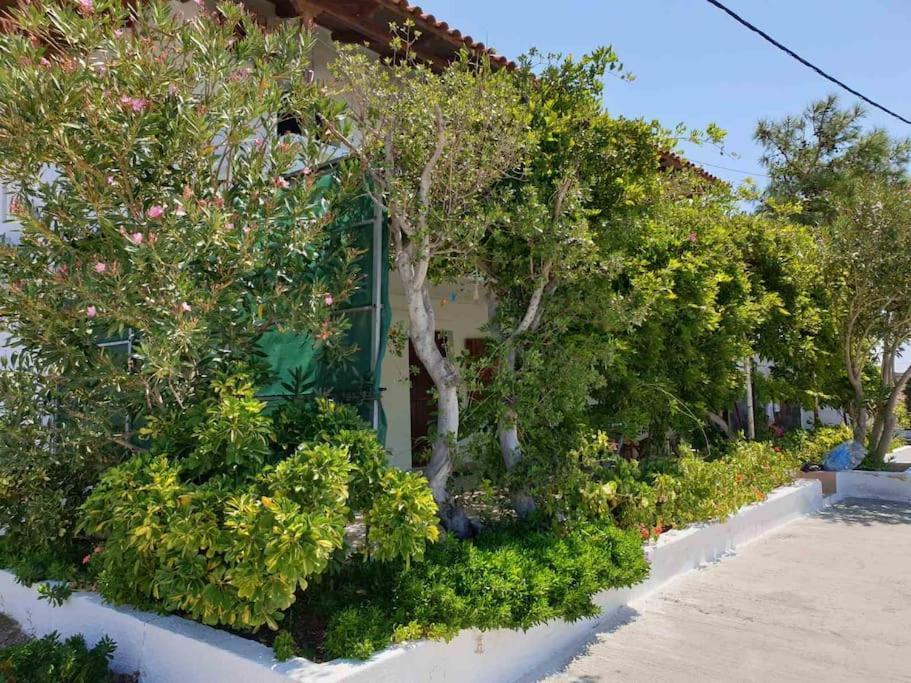 Traditional Olive House Makrýgialos Dış mekan fotoğraf